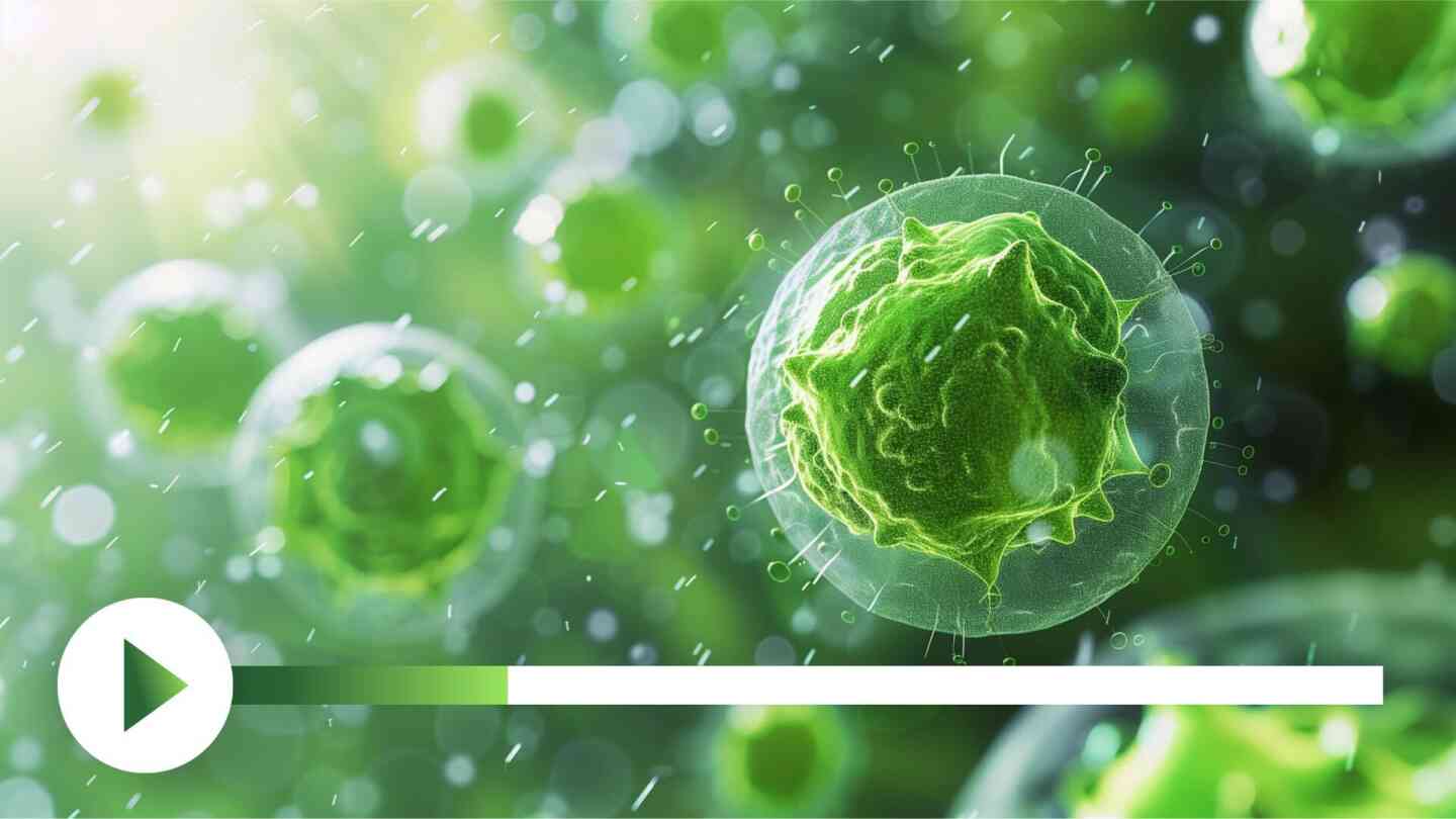 Illustration zeigt anatomische Darstellungen des Immunsystems und zelluläre Prozesse in medizinischer Grafik.
