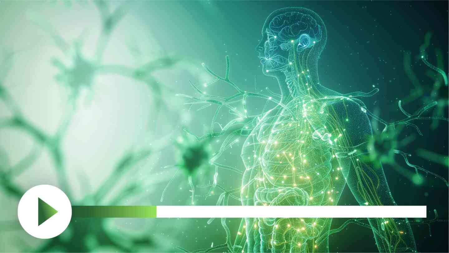 Grafische Visualisierung des menschlichen Immunsystems mit Darstellung von Abwehrzellen und biologischen Prozessen.
